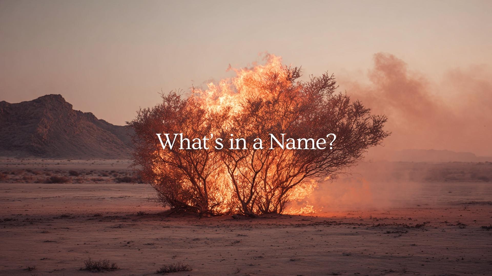 What's in a Name?