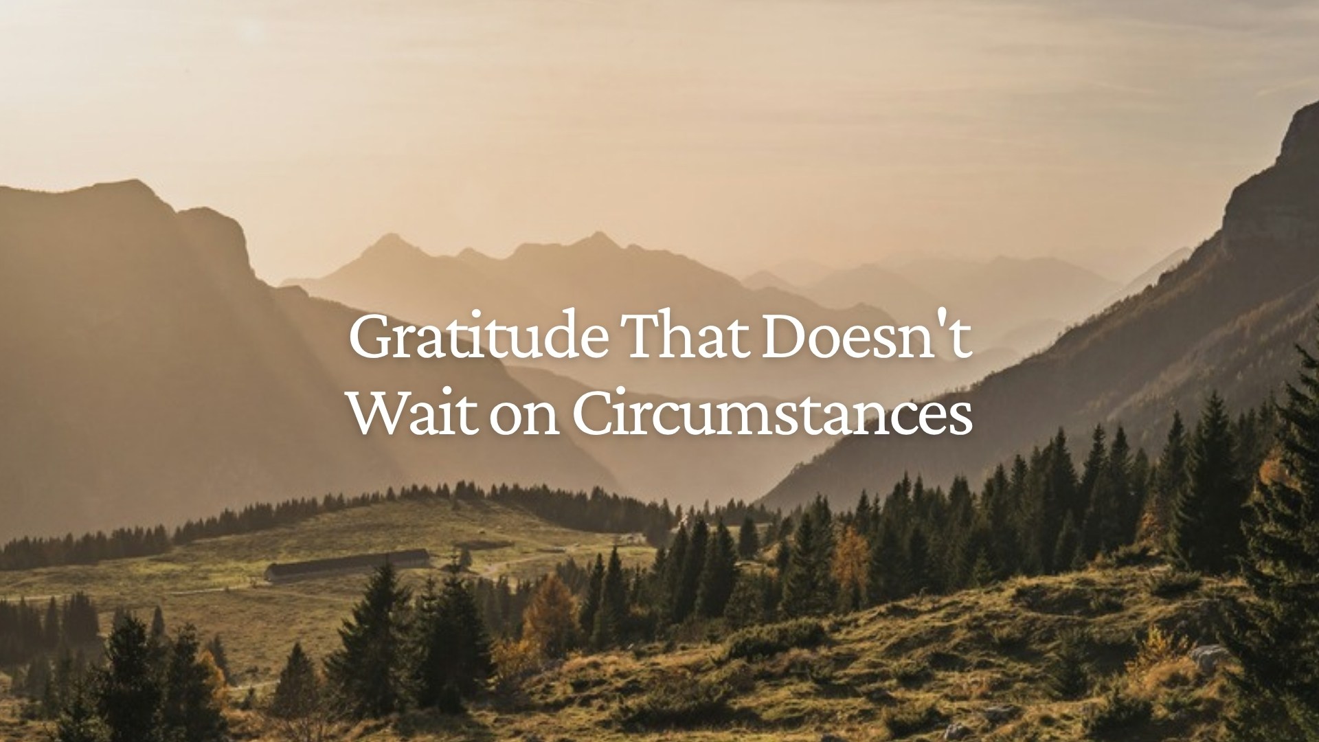 Gratitude That Doesn't Wait on Circumstances
