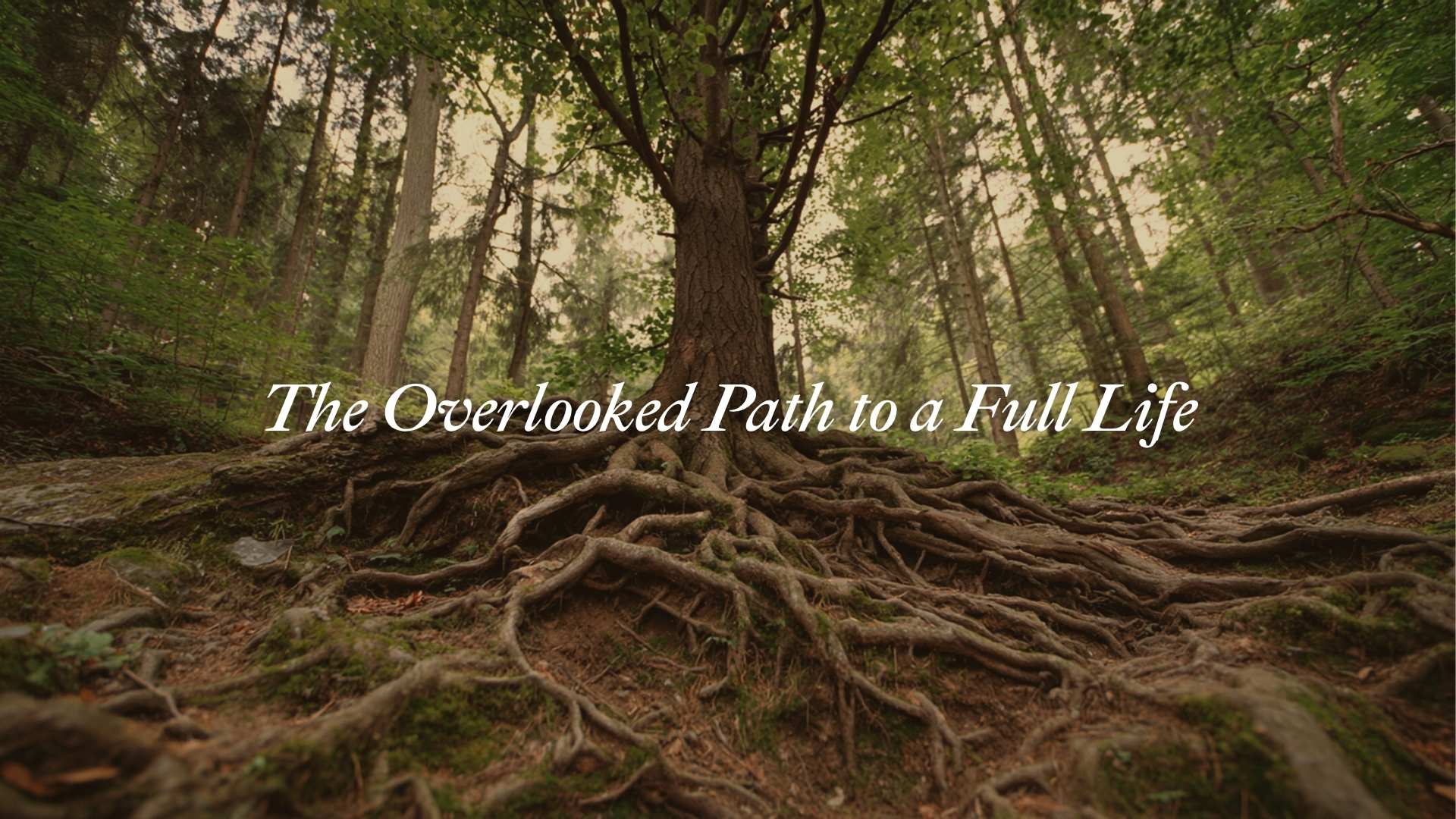 The Overlooked Path to a Full Life