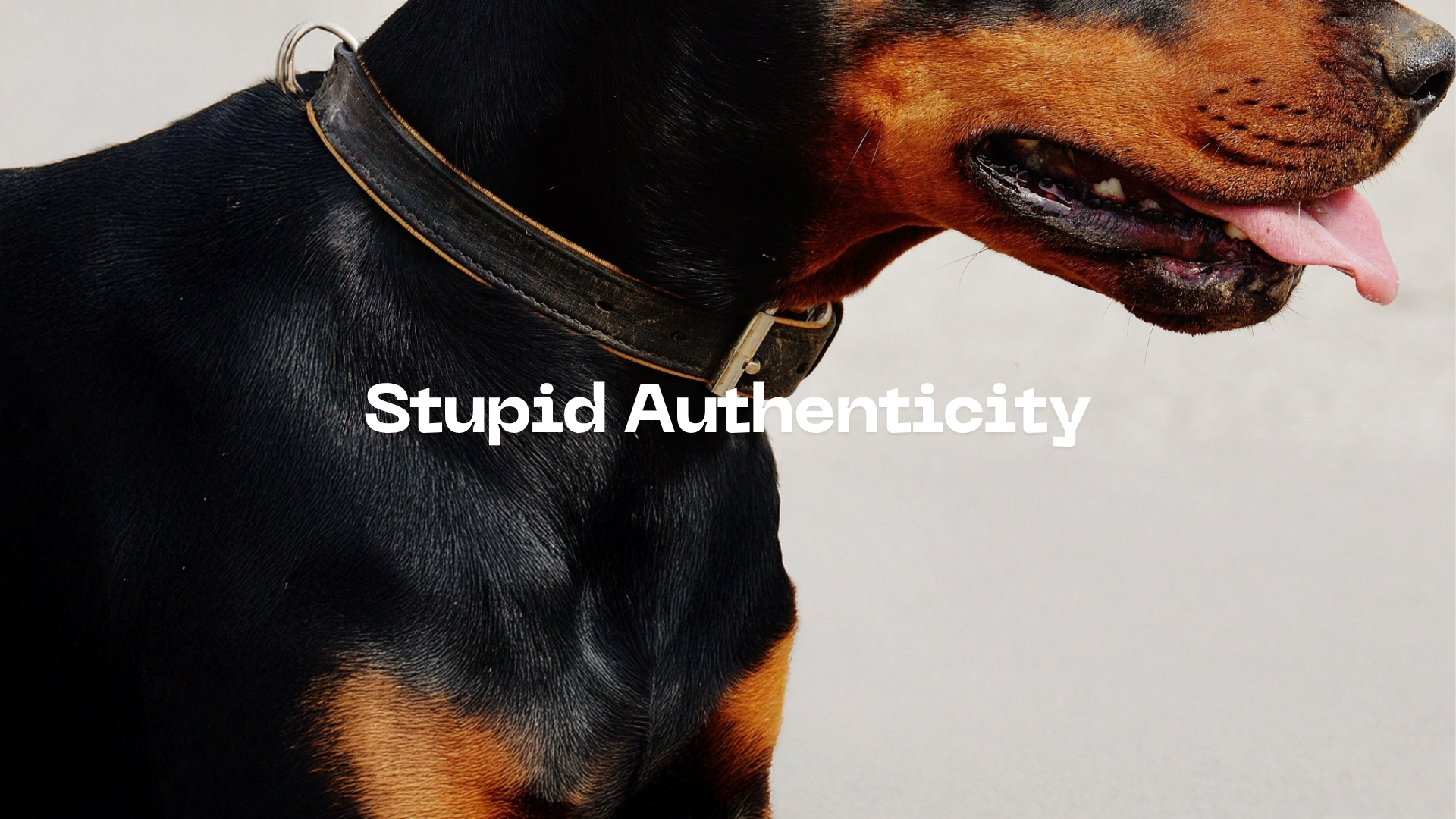 Stupid Authenticity: Why Being Real Might Be Your Dumbest Move Yet