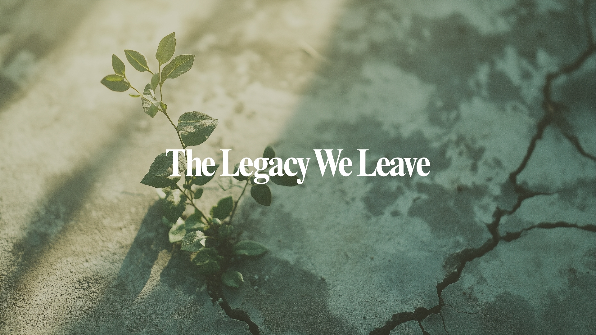 The Legacy We Leave